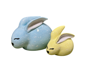 Sioux Falls Fern & Sprout Bunnies